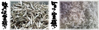 おすすめ商品