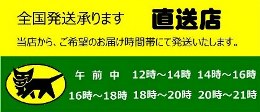 新型　割引運賃